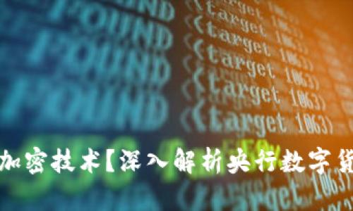 央行数字货币采用什么加密技术？深入解析央行数字货币的安全性与技术架构