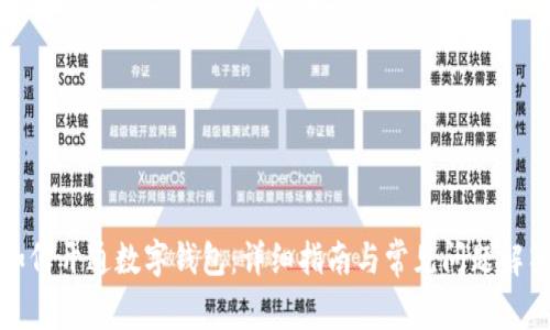 如何开通数字钱包：详细指南与常见问题解答