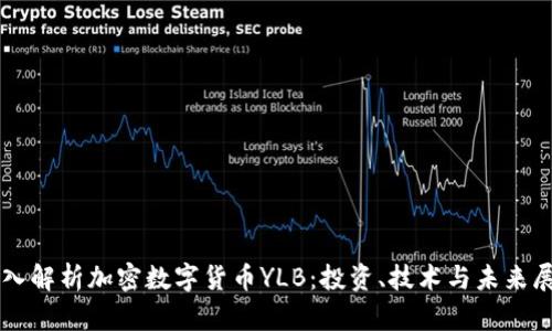 深入解析加密数字货币YLB：投资、技术与未来展望