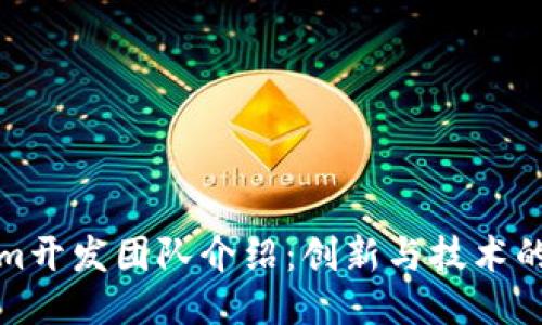 Tokenim开发团队介绍：创新与技术的交汇点