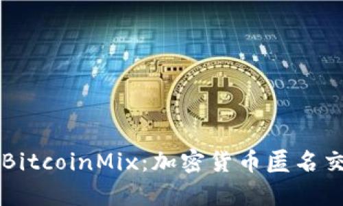 深入分析BitcoinMix：加密货币匿名交易的未来