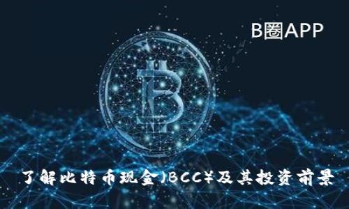 了解比特币现金（BCC）及其投资前景