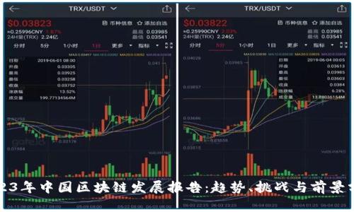 2023年中国区块链发展报告：趋势、挑战与前景分析