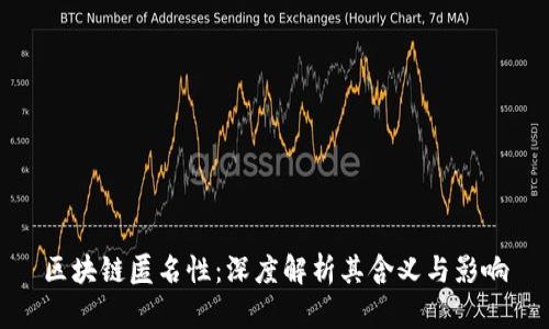区块链匿名性：深度解析其含义与影响
