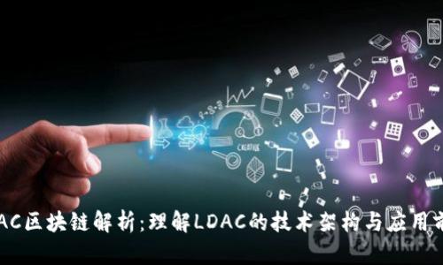 LDAC区块链解析：理解LDAC的技术架构与应用前景