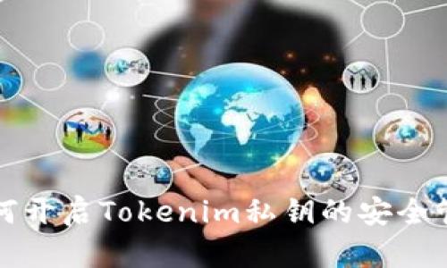 如何开启Tokenim私钥的安全管理