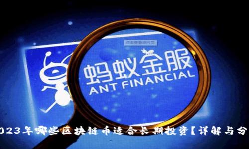 2023年哪些区块链币适合长期投资？详解与分析