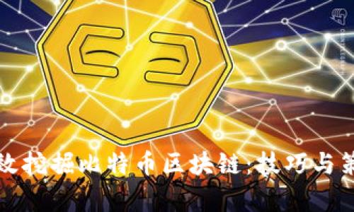 如何高效挖掘比特币区块链：技巧与策略解析