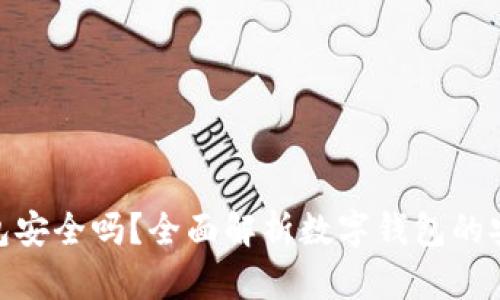 银行开通数字钱包安全吗？全面解析数字钱包的安全性与防护措施