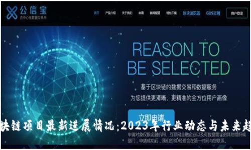 区块链项目最新进展情况：2023年行业动态与未来趋势