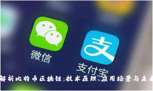 深入解析比特币区块链：技术原理、应用场景与未来展望