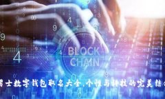 男士数字钱包取名大全，个性与科技的完美结合