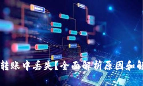 虚拟币转账中丢失？全面解析原因和解决方法
