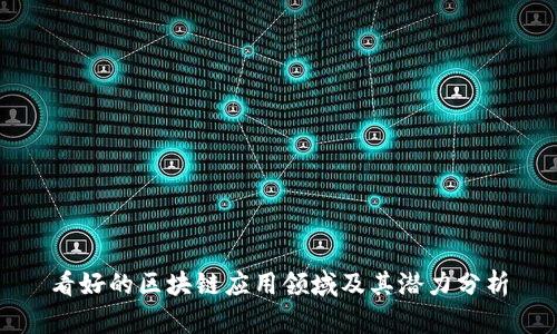 看好的区块链应用领域及其潜力分析