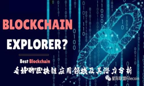 看好的区块链应用领域及其潜力分析