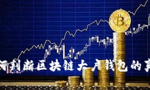 如何判断区块链大户钱包的真伪