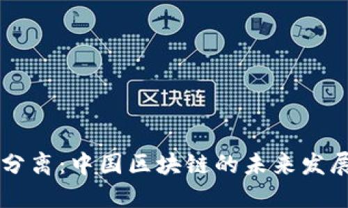 币链分离：中国区块链的未来发展趋势