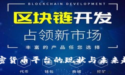 中国加密货币平台的现状与未来趋势分析