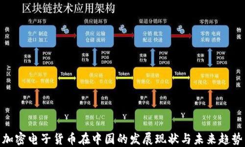 
加密电子货币在中国的发展现状与未来趋势