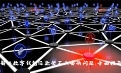 解决数字钱包还款登不上