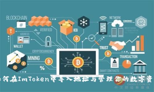 如何在ImToken中导入地址与管理你的数字资产