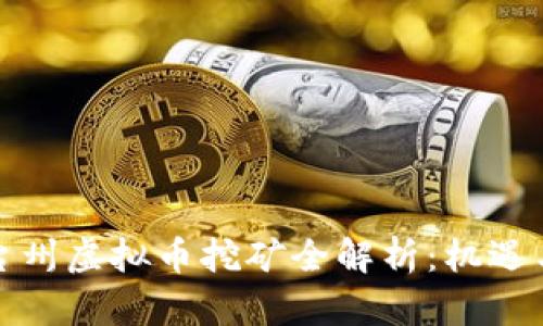 浙江台州虚拟币挖矿全解析：机遇与挑战