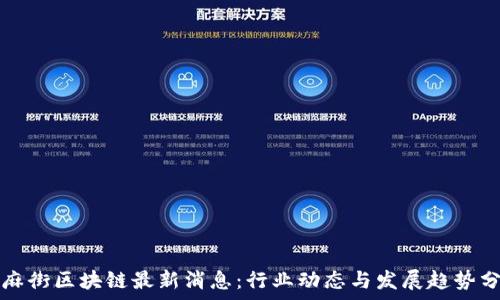   
芝麻街区块链最新消息：行业动态与发展趋势分析