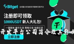 区块链开发平台公司简介