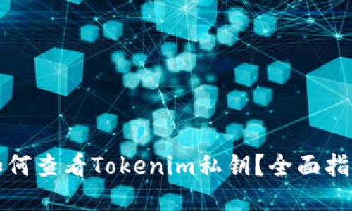 如何查看Tokenim私钥？全面指南