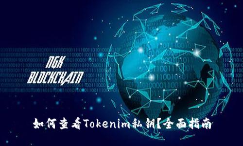 如何查看Tokenim私钥？全面指南