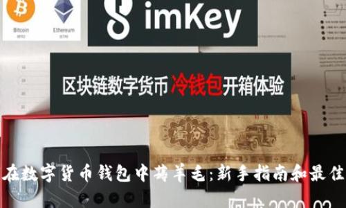 如何在数字货币钱包中薅羊毛：新手指南和最佳策略