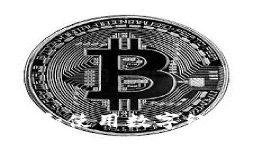 如何有效地打开和使用数字经济钱包：全面指南