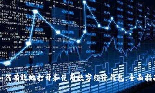 如何有效地打开和使用数字经济钱包：全面指南