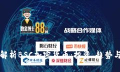 深入解析BSC加密货币：投