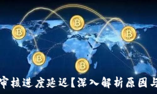   
数字钱包审核进度延迟？深入解析原因与解决方案