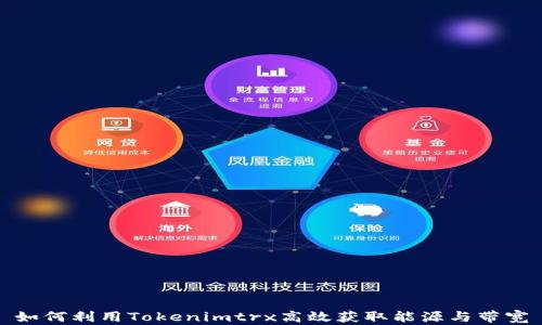 
如何利用Tokenimtrx高效获取能源与带宽