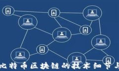 深入探讨比特币区块链的