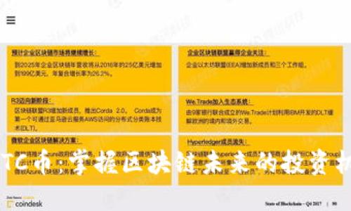 NATC币：掌握区块链未来的投资机会