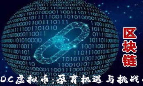 
深入解析PDC虚拟币：孕育机遇与挑战的数字资产