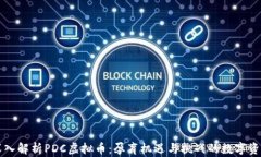 深入解析PDC虚拟币：孕育