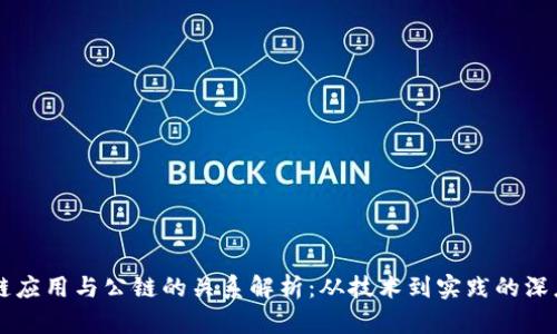 区块链应用与公链的关系解析：从技术到实践的深度剖析