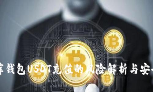 小金库钱包USDT充值的风险解析与安全指南