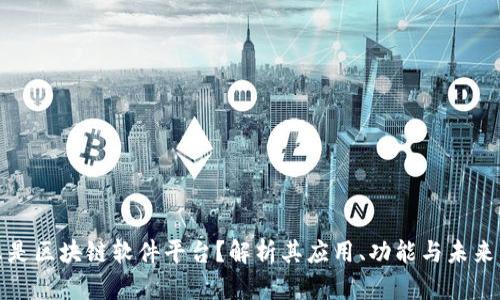 什么是区块链软件平台？解析其应用、功能与未来发展