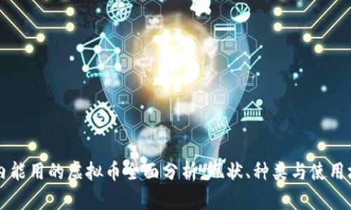 国内能用的虚拟币全面分析：现状、种类与使用场景