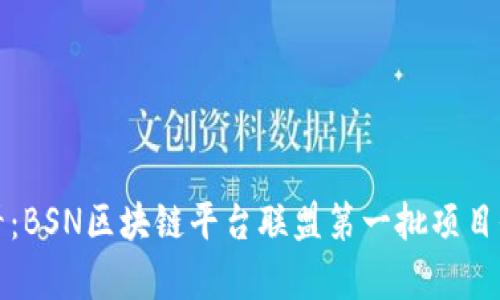 2025必看：BSN区块链平台联盟第一批项目全面解析！