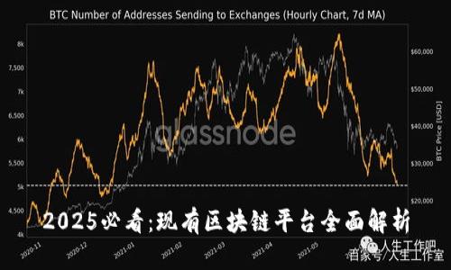 2025必看：现有区块链平台全面解析