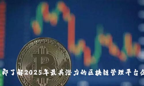  立即了解2025年最具潜力的区块链管理平台企业