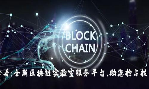 2025必看：全新区块链实验室服务平台，助您抢占技术先机！