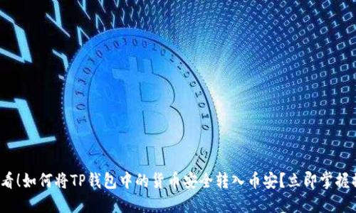 2025必看！如何将TP钱包中的货币安全转入币安？立即掌握操作技巧