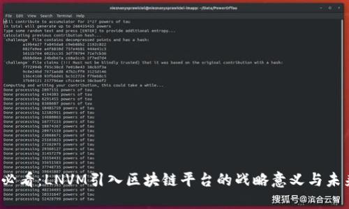 2025必看：LNVM引入区块链平台的战略意义与未来展望